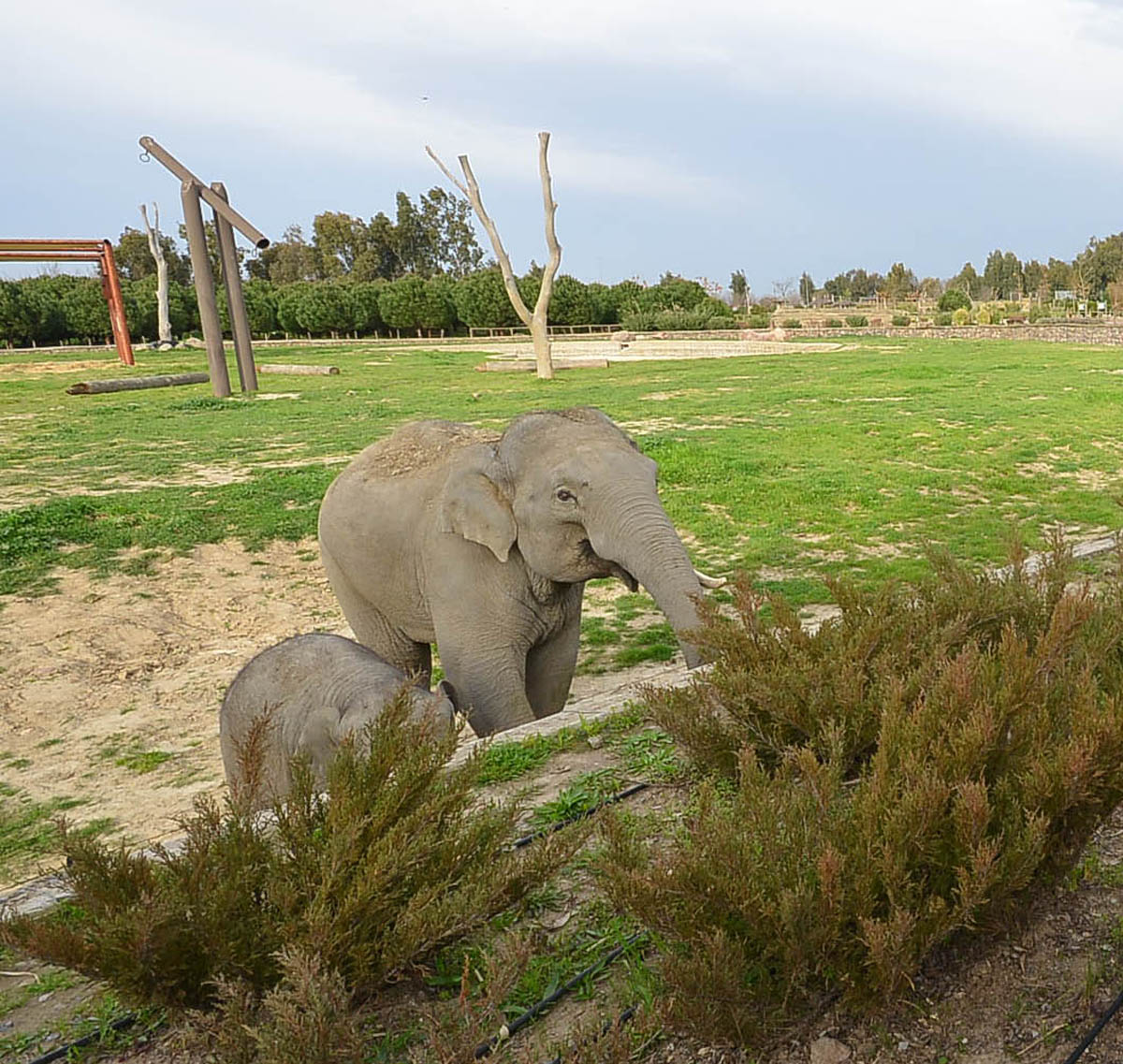 İzmir Doğal Yaşam Parkı - İzmir
