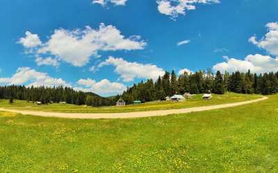 Şehirli Yaylası - Düzce