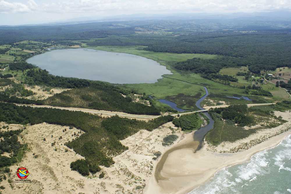 Sarıkum Tabiatı Koruma Alanı - Sinop