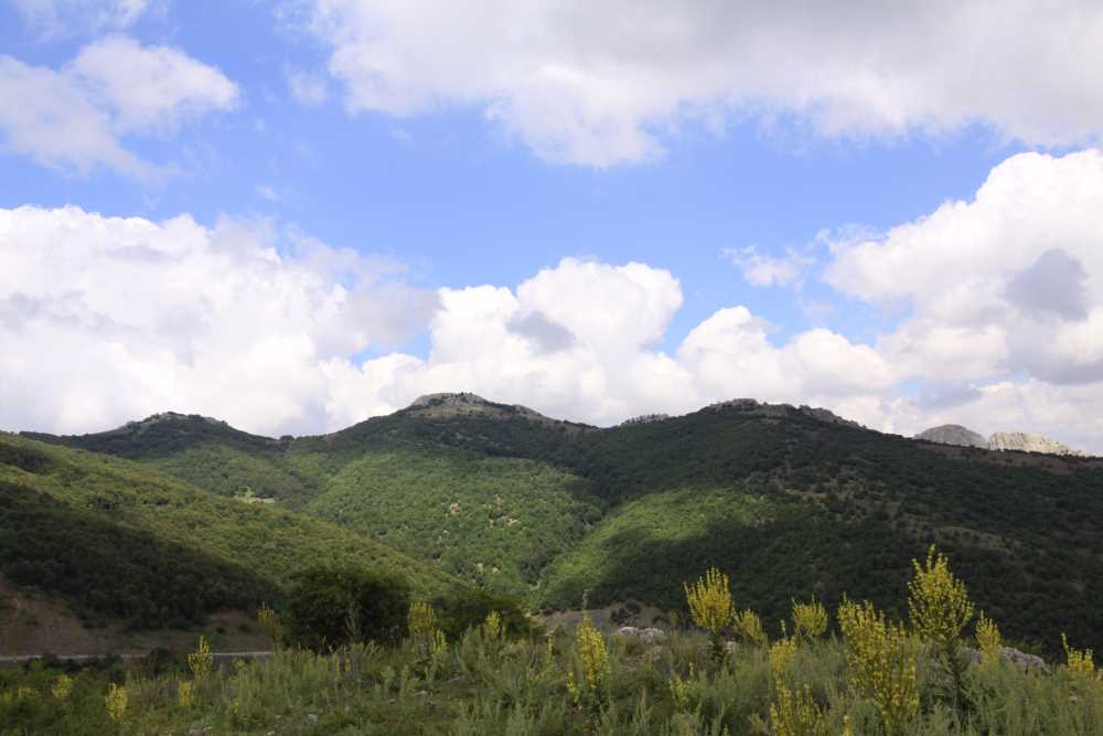 Şebekpınarı Yaylası - Yozgat